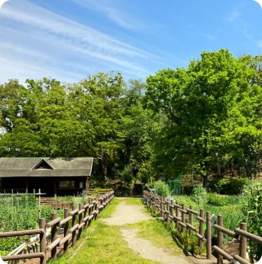 自然ゆたか森の中の公園。分区園で菜園を楽しめます。