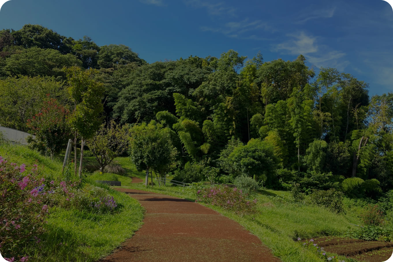 公園マップ