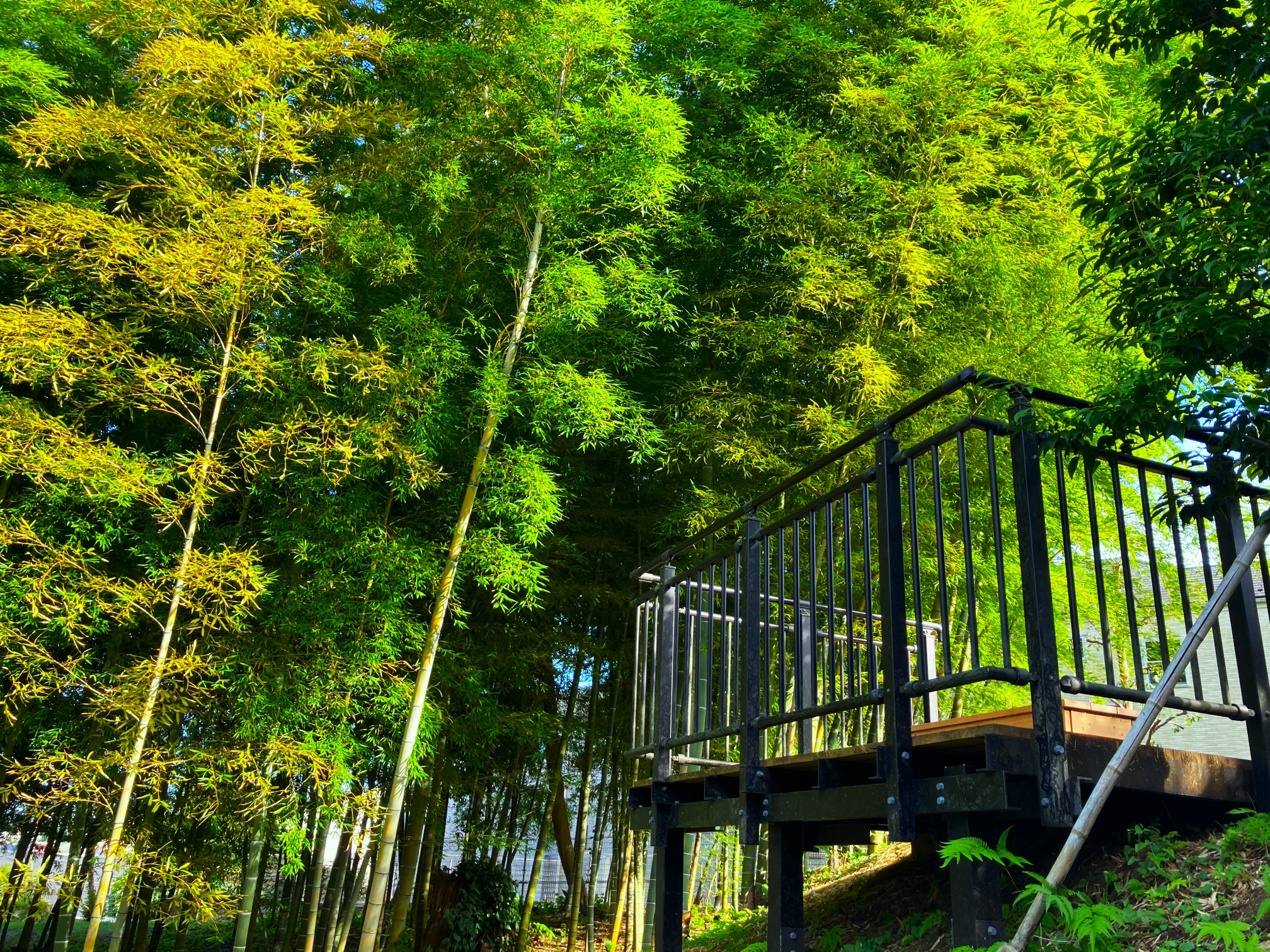 自然体験ゾーン