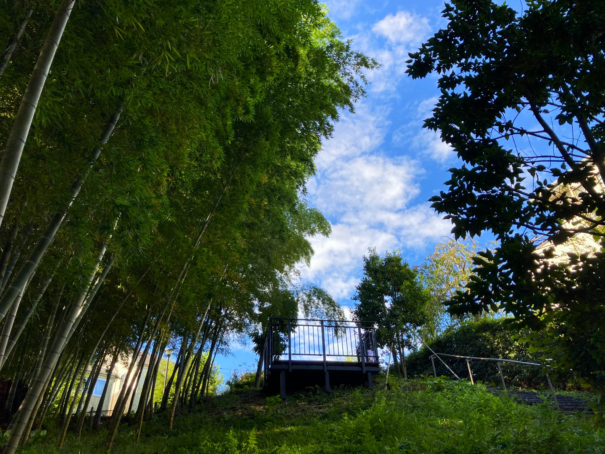 自然体験ゾーン