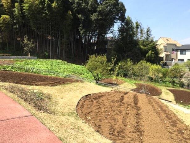 団体分区園・協働農園