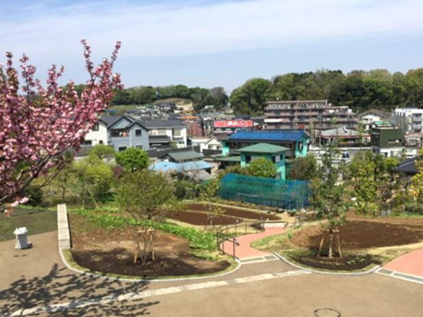 団体分区園・協働農園