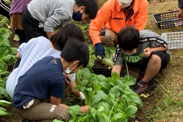 人とふれあう