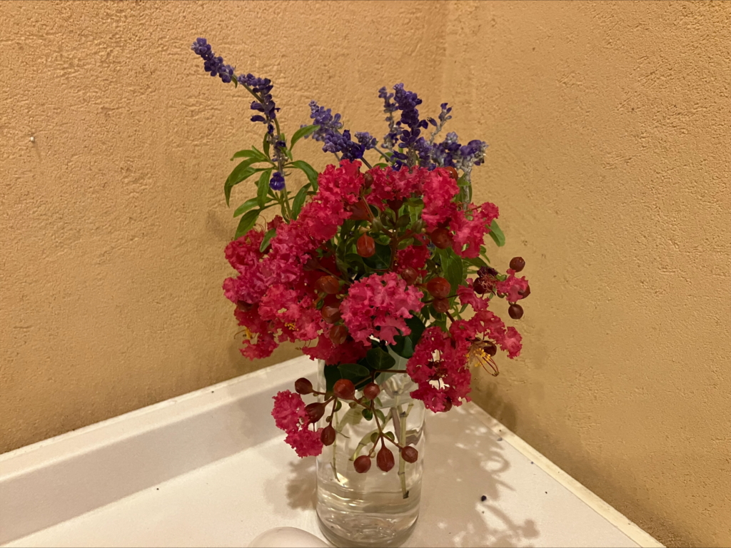 花壇のお花が元気を取り戻してきました。