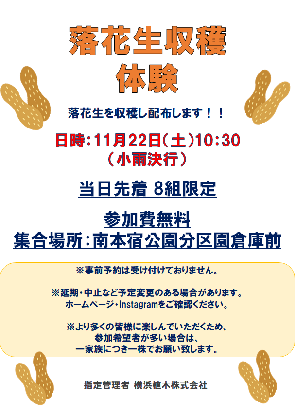 落花生収穫イベント実施します