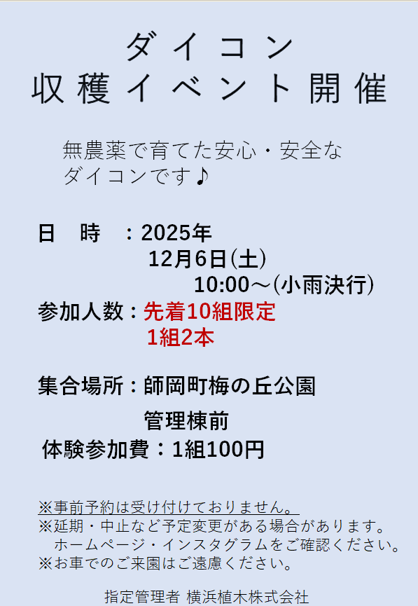 ダイコン収穫イベント開催します。