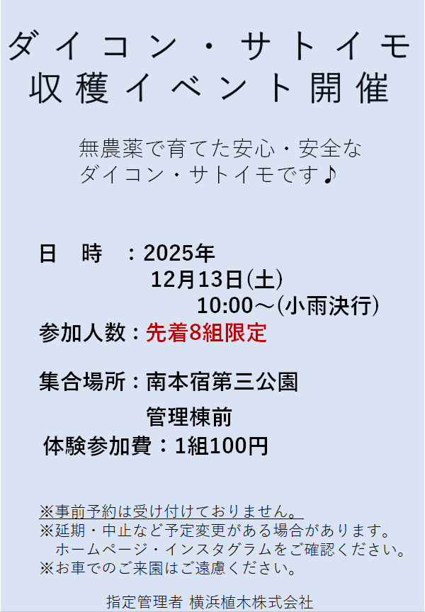 ダイコン・サトイモ収穫体験