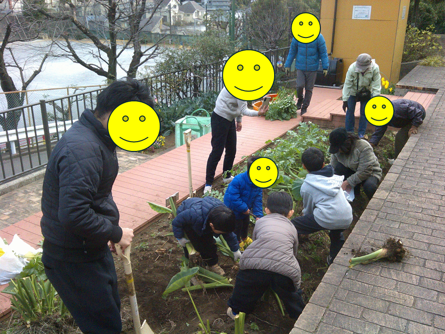 収穫イベントを開催しました。
