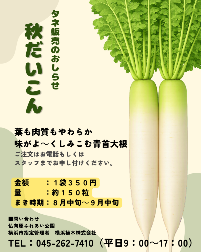 秋だいこんのタネ販売をはじめます