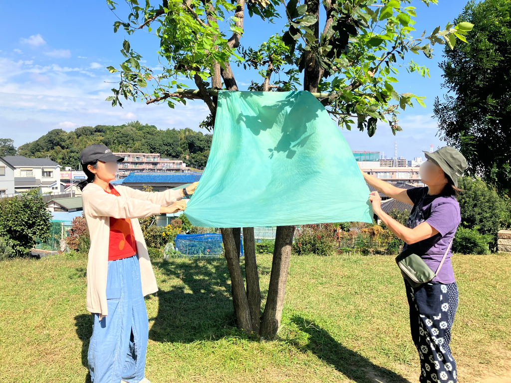 藍の生葉、タマネギの皮で染め上げるワークショップが開催されました！
